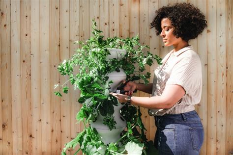  Cultivating Your Inner Gardener: A Poetic Journey Through French Horticultural Traditions