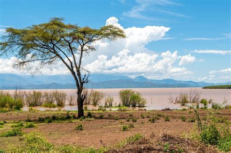  Landscapes of Ethiopia: A Photographic Journey through Time and Terrain